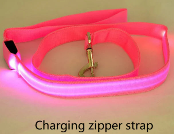 LED Dog Leash with Fluorescent Dog Collar