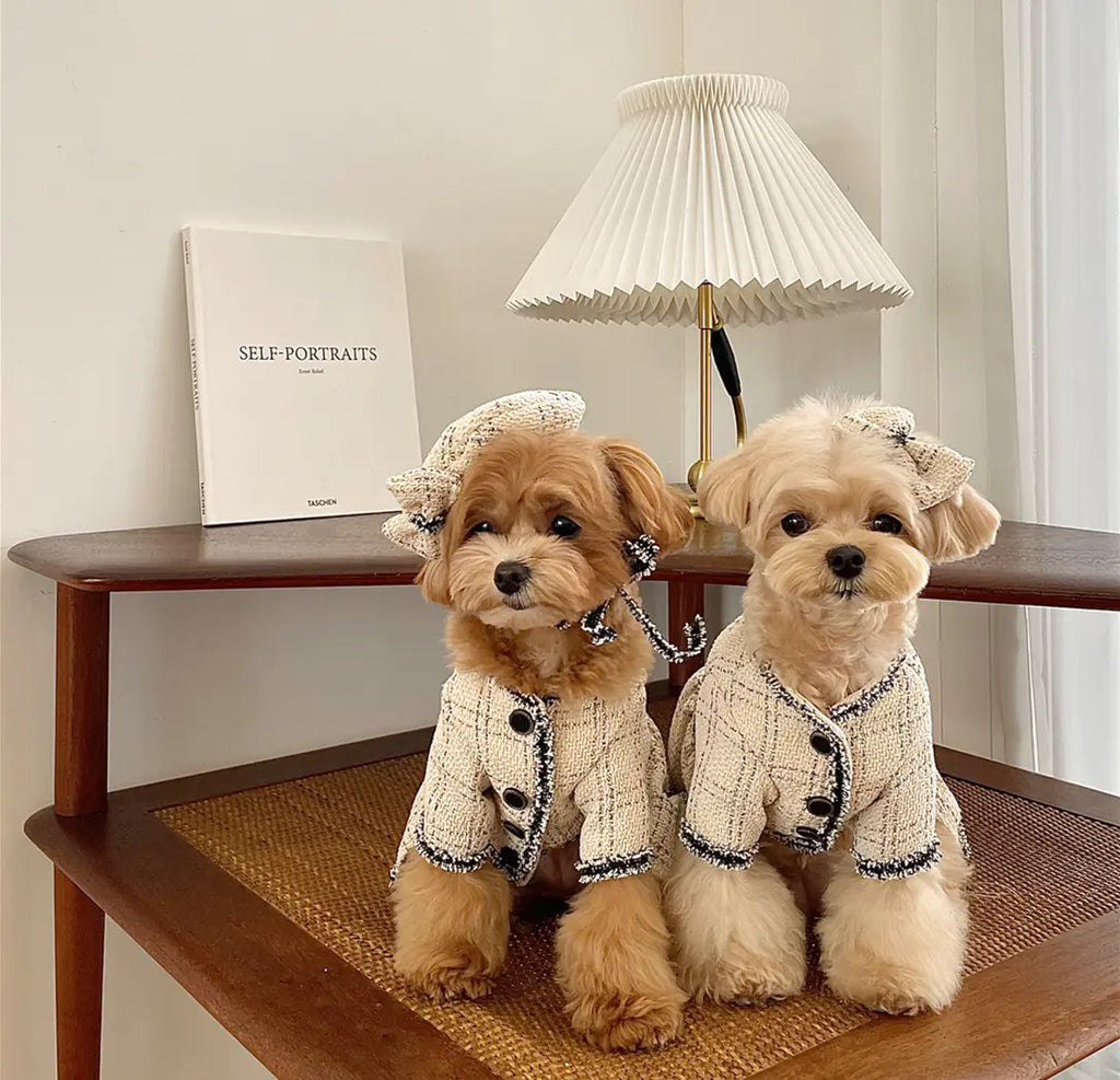 Princess Skirt for Dogs