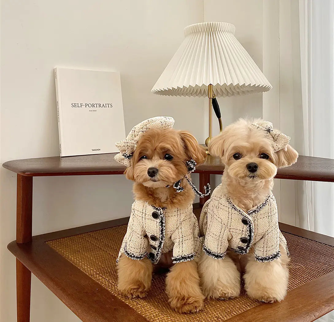 Princess Skirt for Dogs