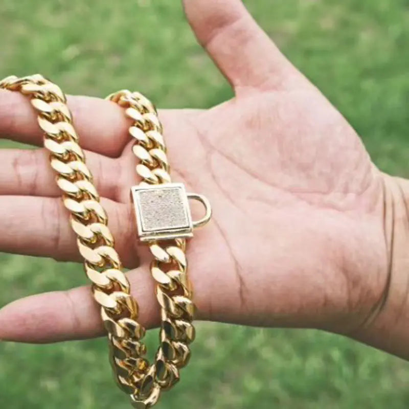 Stainless Steel Titanium Dog Collar with Diamond Lock Clasp