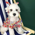 Summer Thin Dress for Small Dogs - Pet Clothing