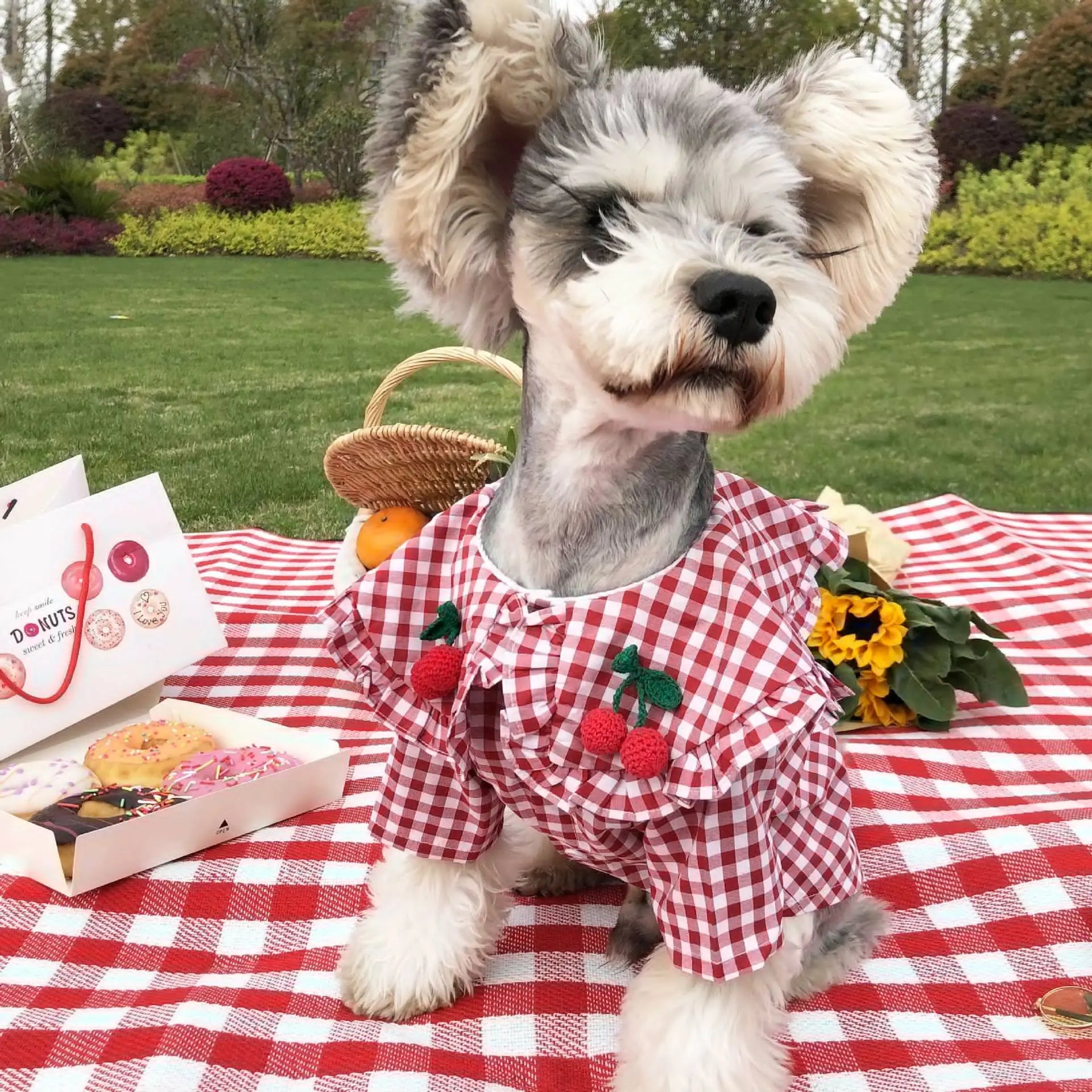 Thin Checkered Summer Shirt for Small Dogs