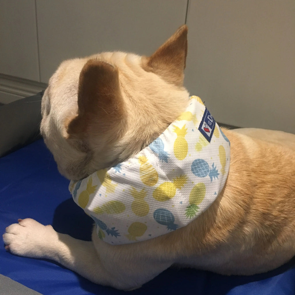 Summer Pet Dog Cooling Ice Scarf for Heat Relief