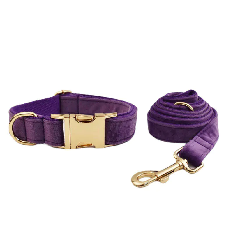 Velvet Pet Collar with Leash Attachment