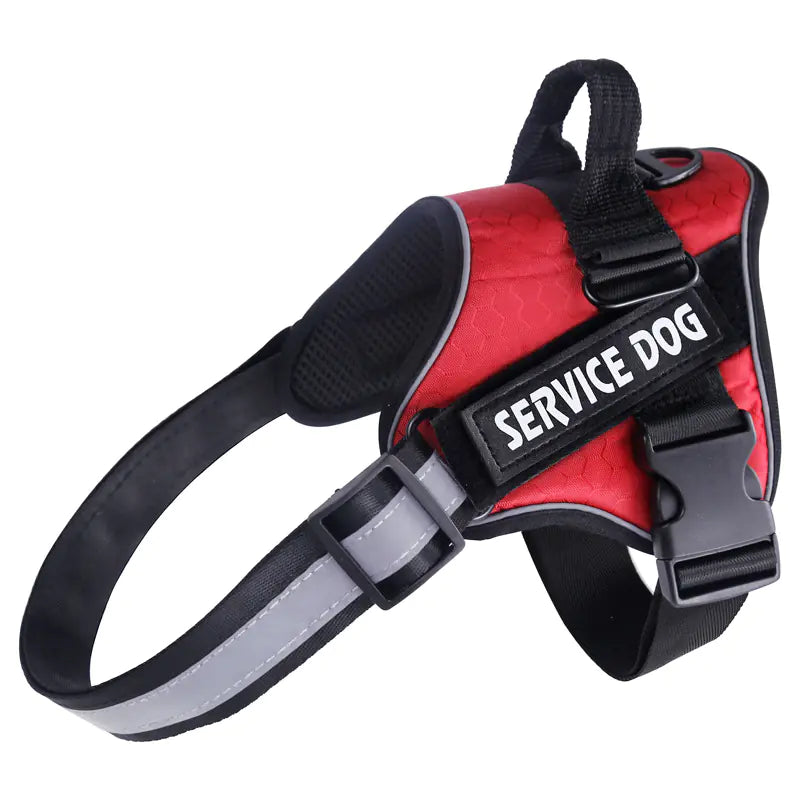 Durable and Comfortable Pet Leash Chest Harness