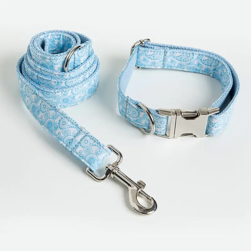 Paisley Dog Collar and Leash Set with Bow