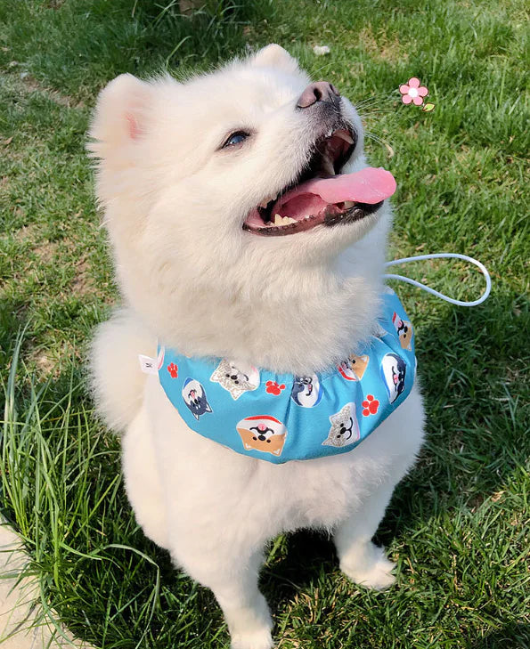 Cooling Ice Scarf for Dogs in Summer