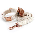Lace & Flower Pet Harness with Leash Set