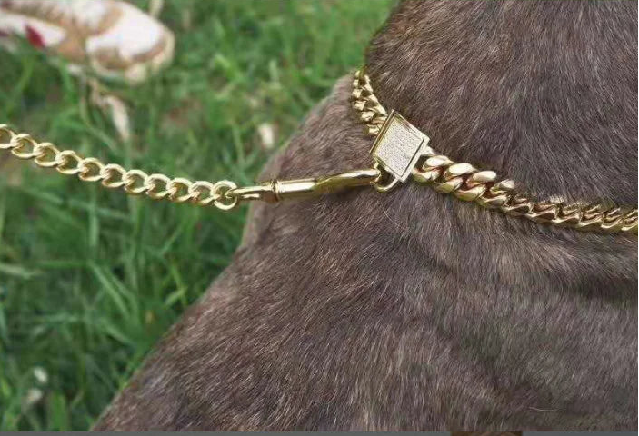 Stainless Steel Titanium Dog Collar with Diamond Lock Clasp