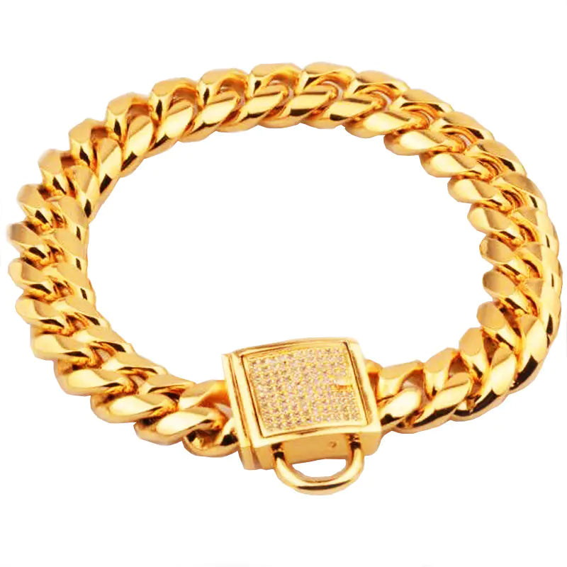 Stainless Steel Titanium Dog Collar with Diamond Lock Clasp