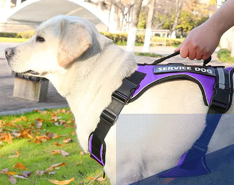 K9 Harness Vest for Medium to Large Dogs with Leash