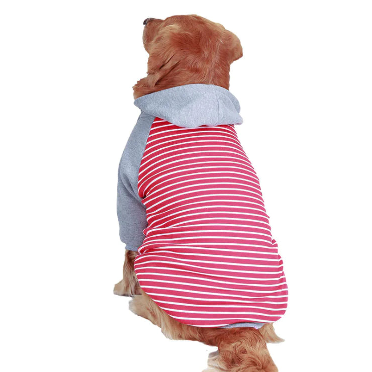 Cotton Pet Hoodie for Large Dogs in Autumn/Winter