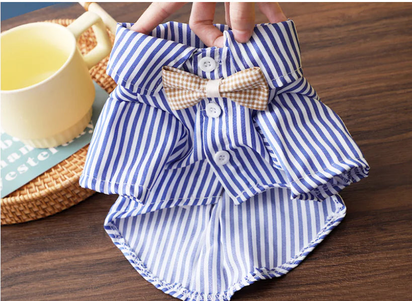 Striped Dress for Cats and Dogs, Pet Clothes for Puppies