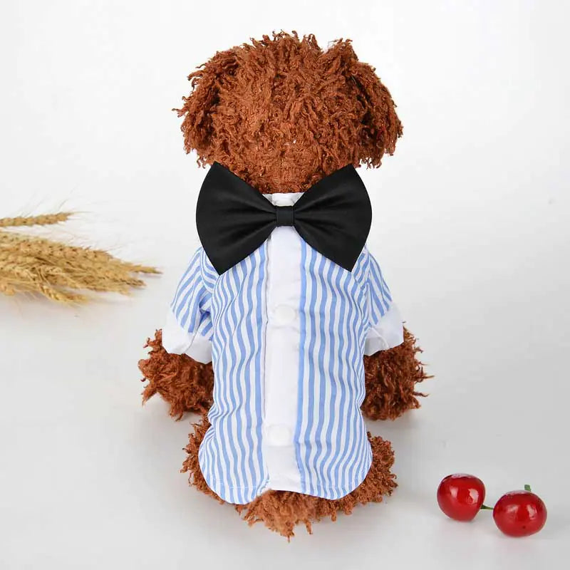 British Style Pet Clothing for Dogs - Breathable Spring/Summer