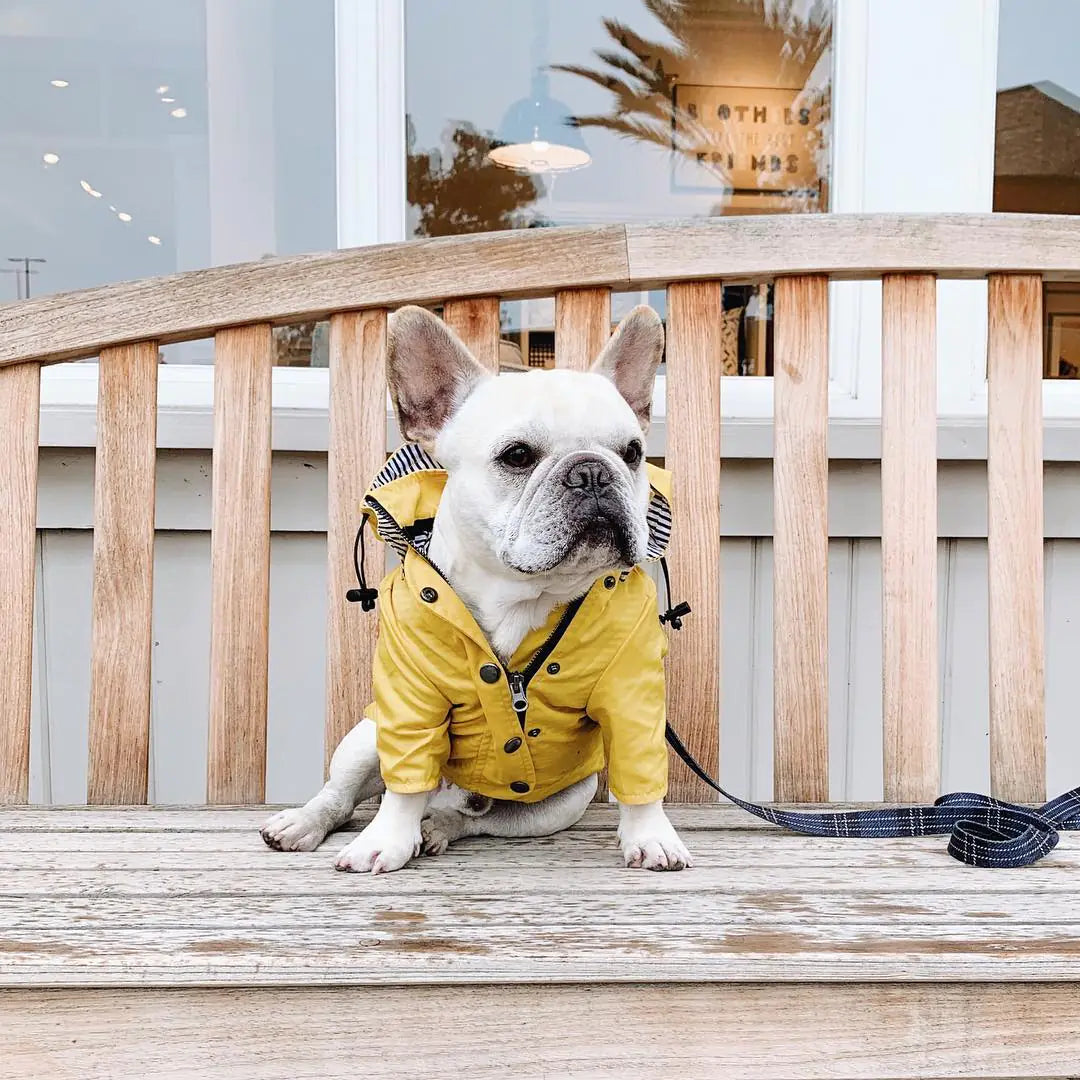 Windproof and Waterproof Dog Raincoat for Pets