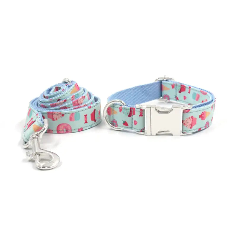 Large Dog Collar and Leash Set for Walking