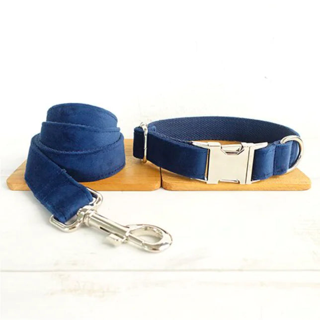 Bow Pet Collar for Dogs - Large and Small Sizes