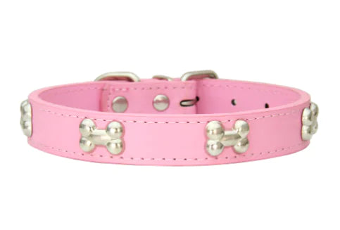 Collar with Bone Jewelry