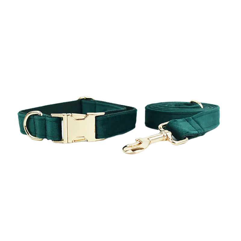 Velvet Pet Collar with Leash Attachment