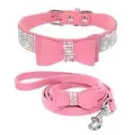 Rhinestone Bling Leather Pet Collar and Leash Set