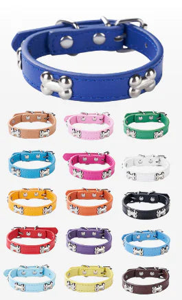 Collar with Bone Jewelry