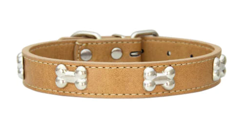 Collar with Bone Jewelry