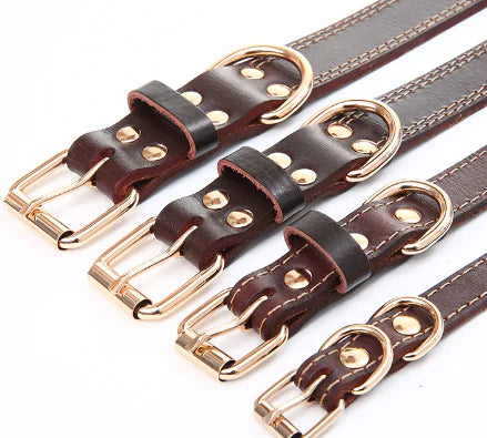 Leather Traction Collar for Dogs