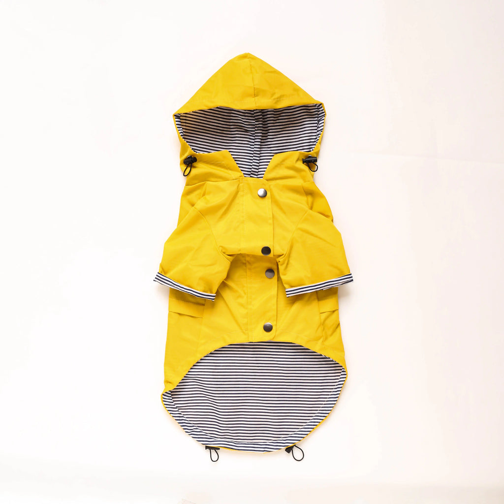 Windproof and Waterproof Dog Raincoat for Pets