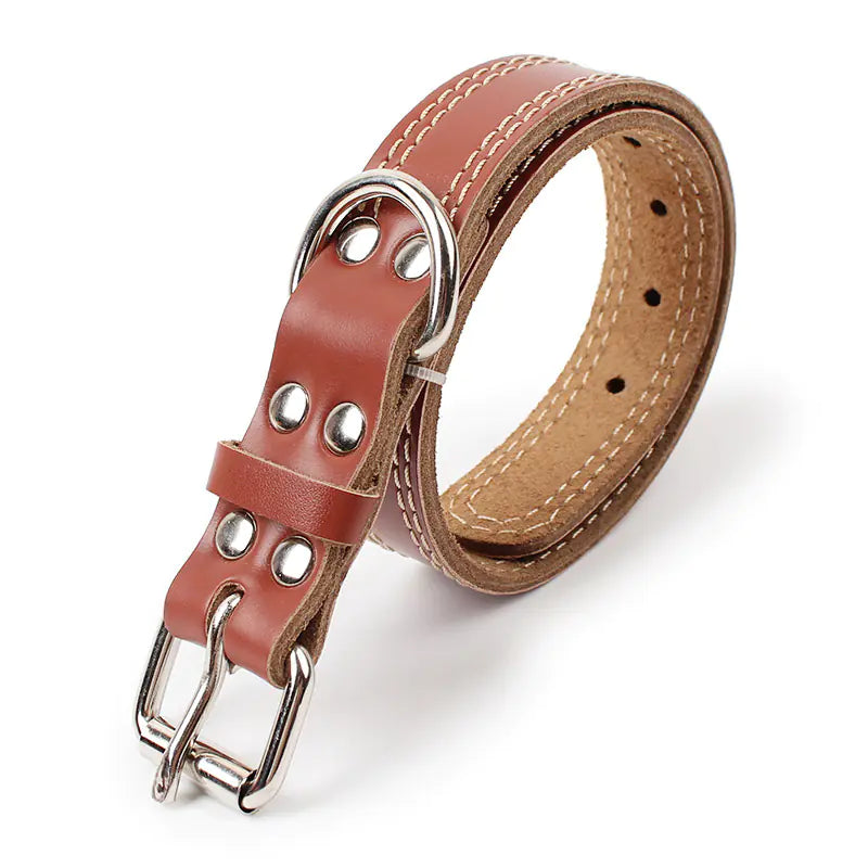 Leather Traction Collar for Dogs