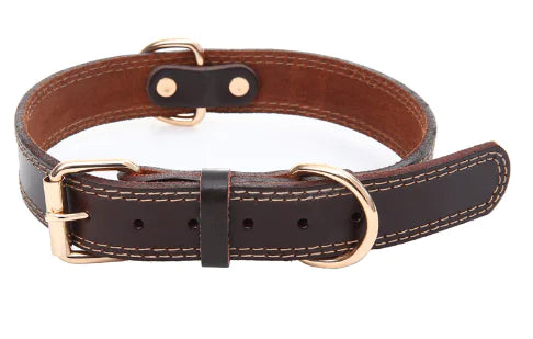 Leather Traction Collar for Dogs