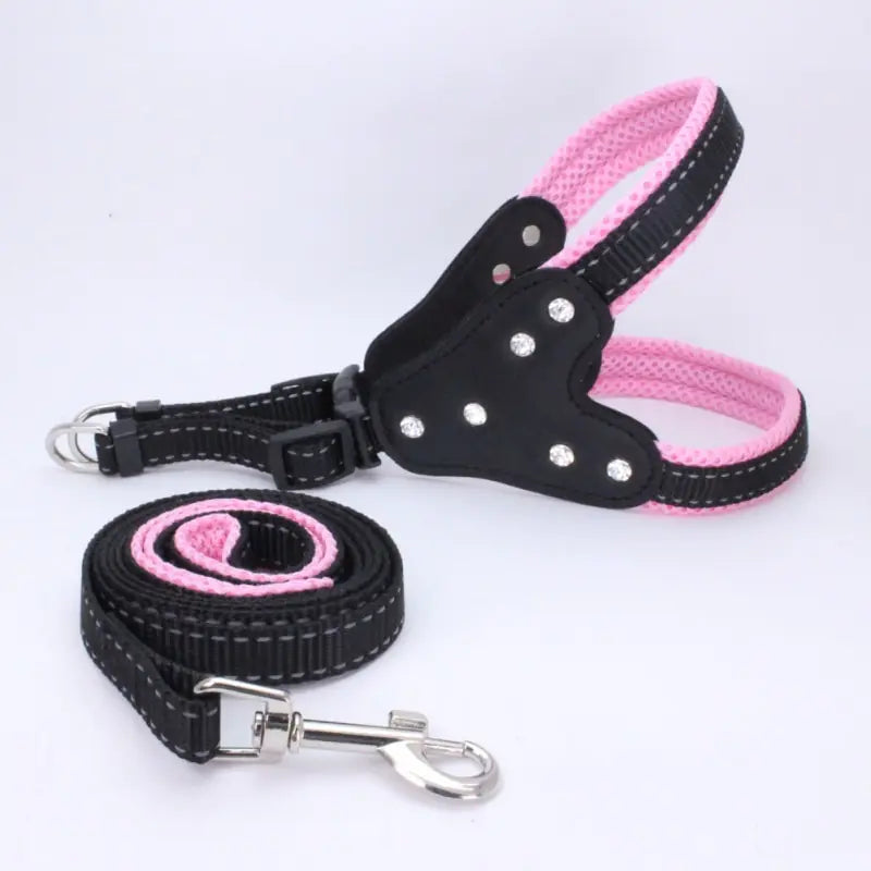Dog Triangle Harness with Teddy Leash and Strap