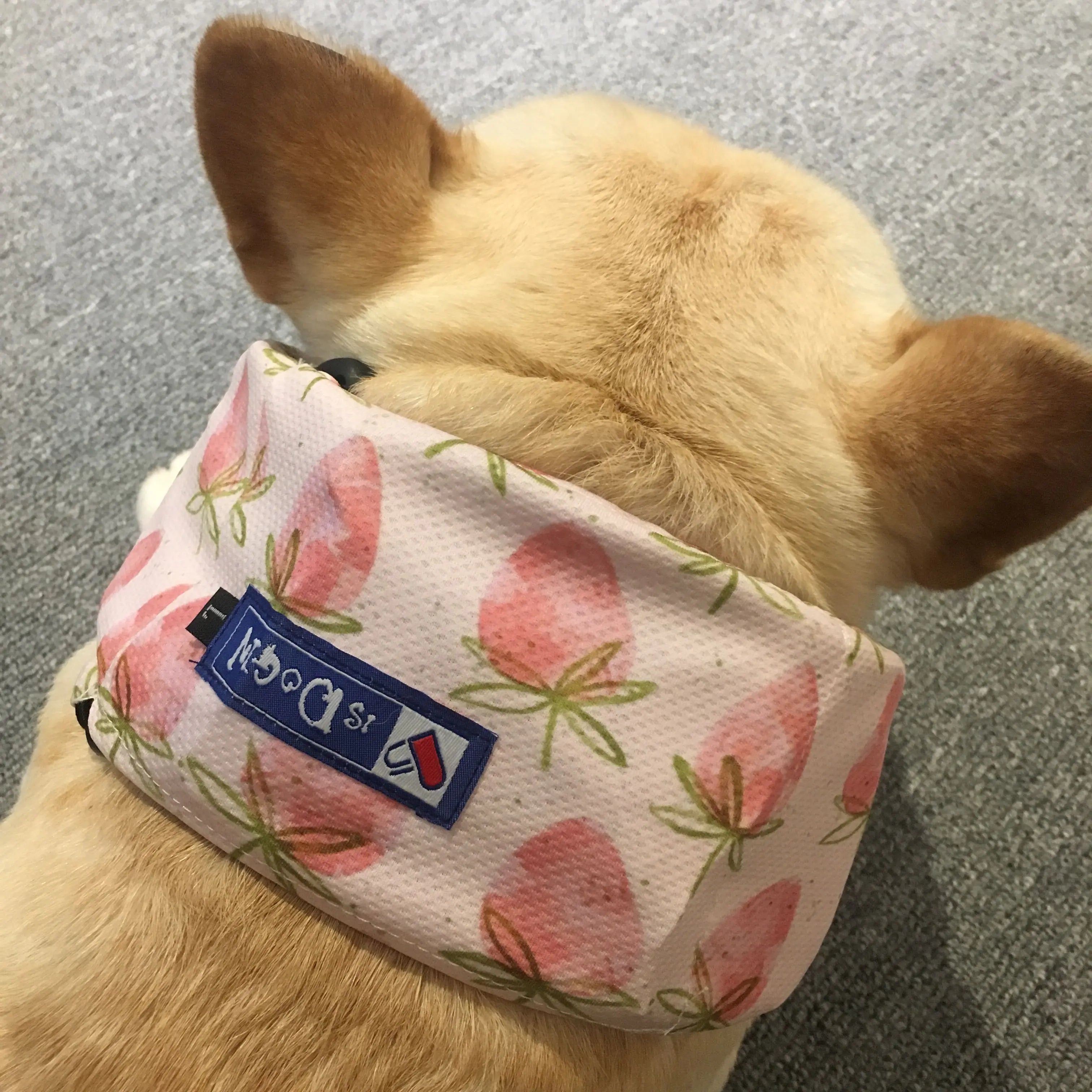 Summer Pet Dog Cooling Ice Scarf for Heat Relief