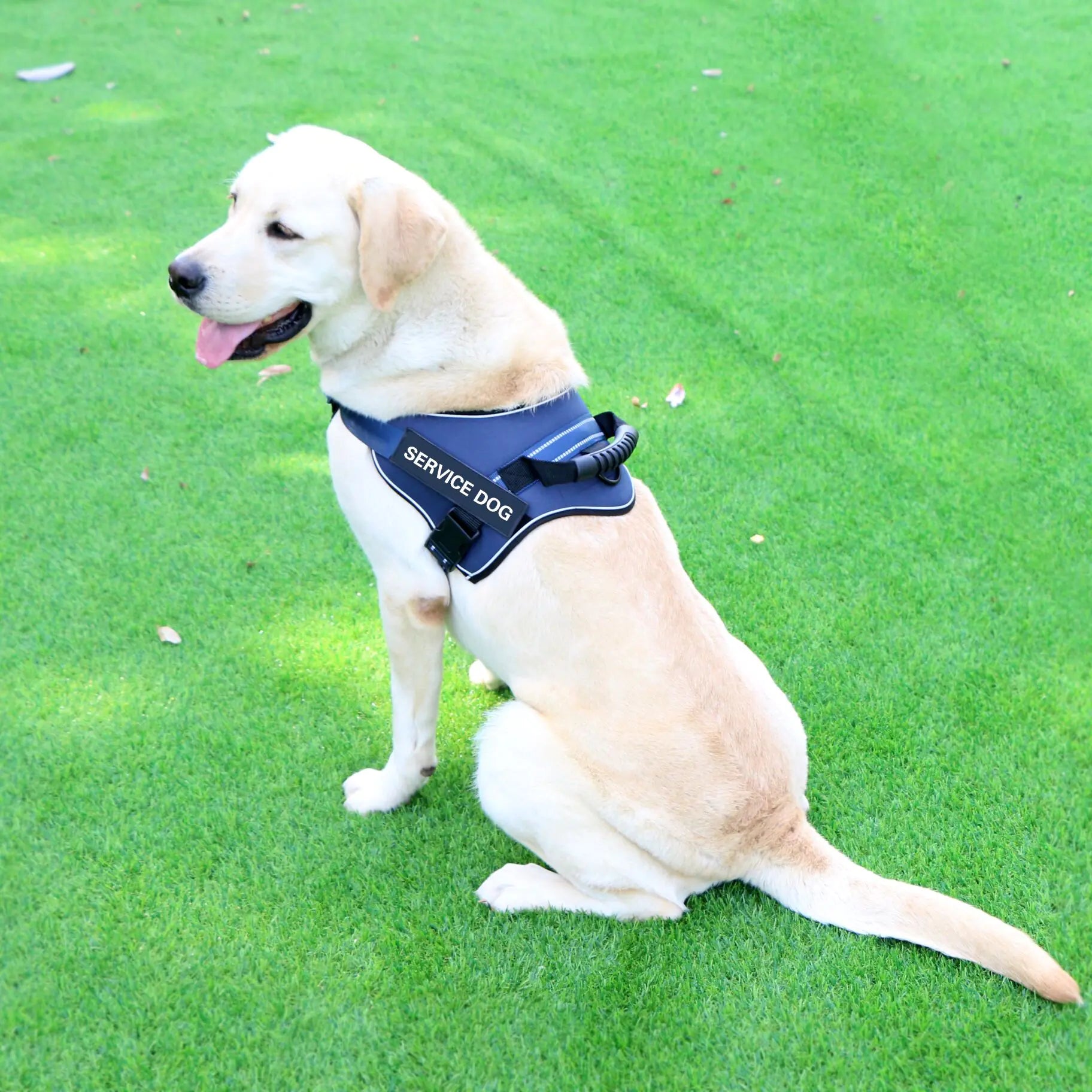 K9 Harness Vest for Medium to Large Dogs with Leash