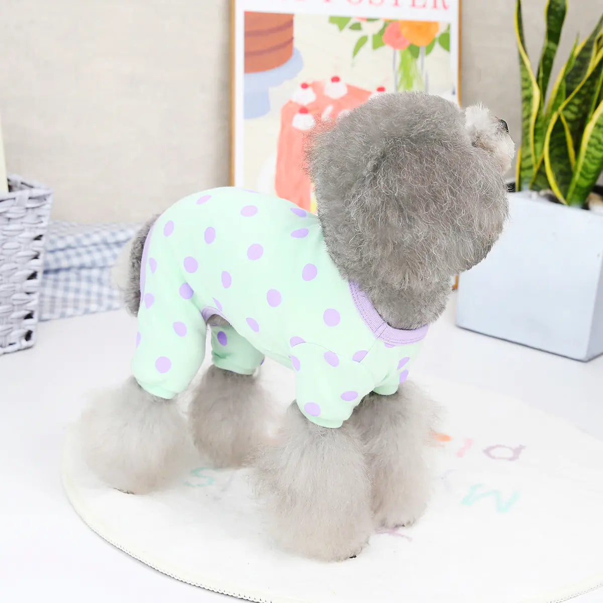 Spring and Summer Pet Clothing for Puppies