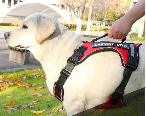 K9 Harness Vest for Medium to Large Dogs with Leash