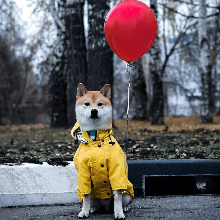 Windproof and Waterproof Dog Raincoat for Pets