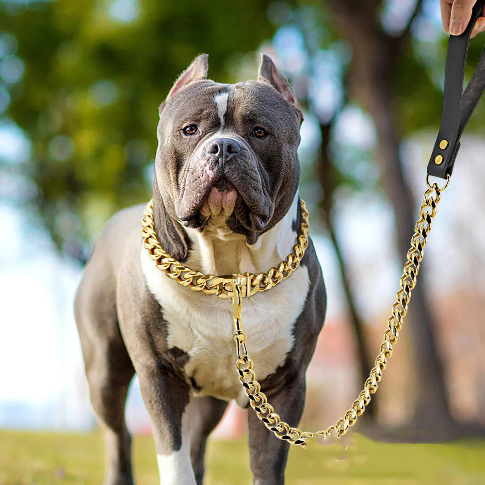 Gold Cuban Link Dog Leash