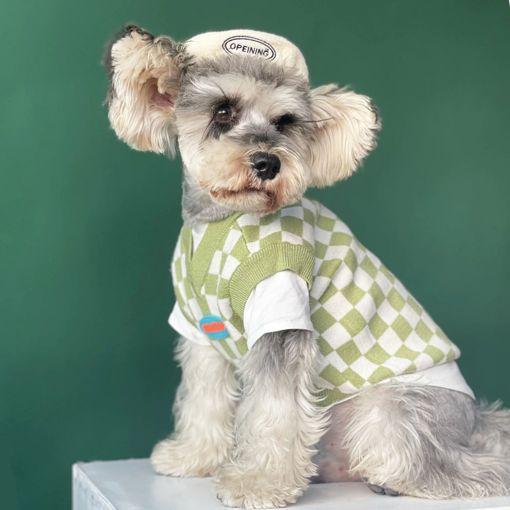 Checkerboard Vest for Pets - Autumn and Winter