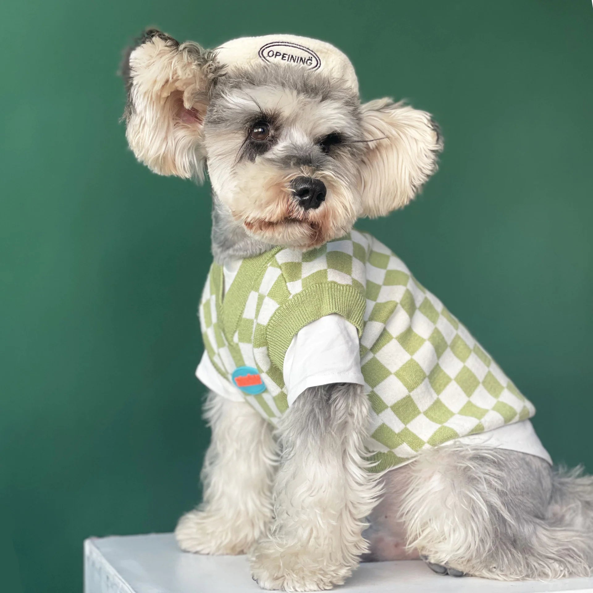 Checkerboard Vest for Pets - Autumn and Winter
