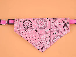 Triangle Scarf Collar for Pets