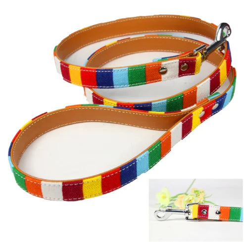 New Colorful Pet Leash - Canvas + PU Material