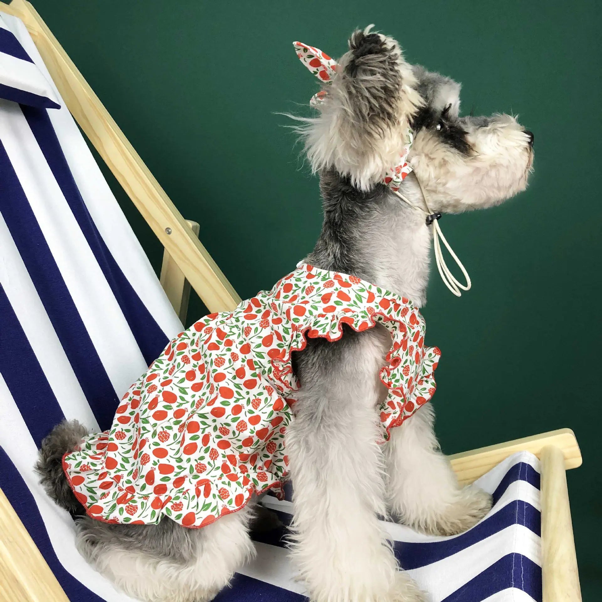 Summer Thin Dress for Small Dogs - Pet Clothing