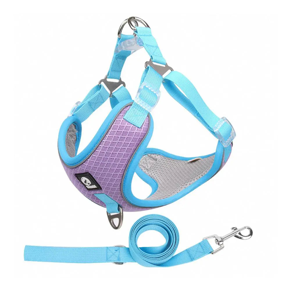 Breathable Mesh Harness for Small to Medium Dogs