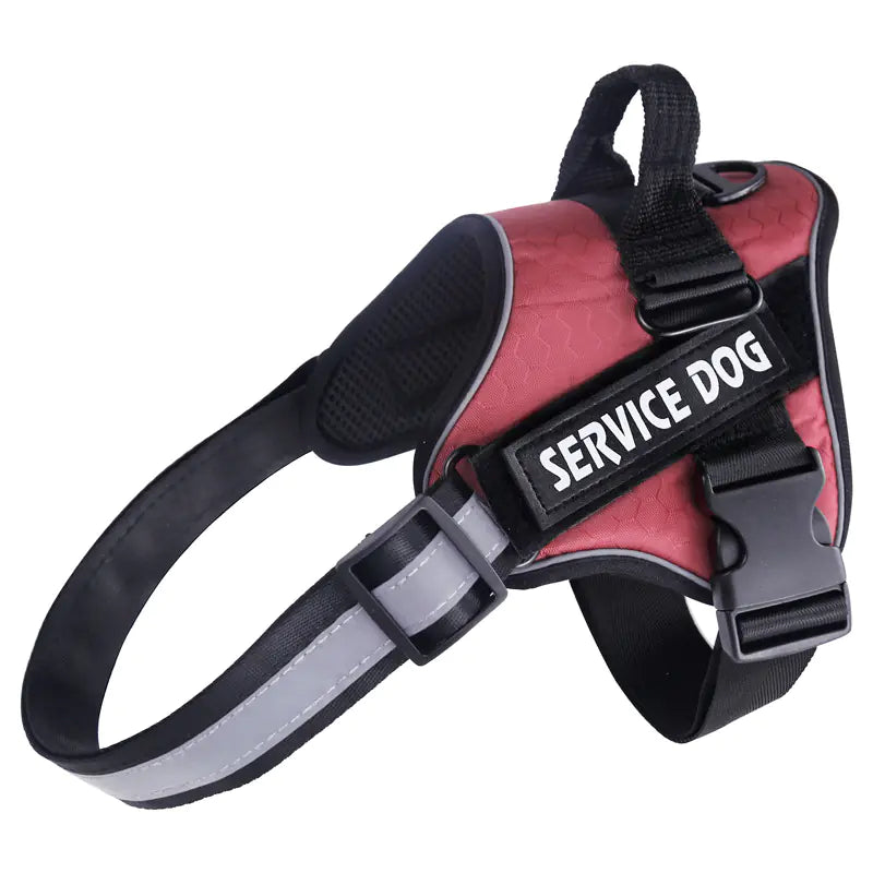 Durable and Comfortable Pet Leash Chest Harness