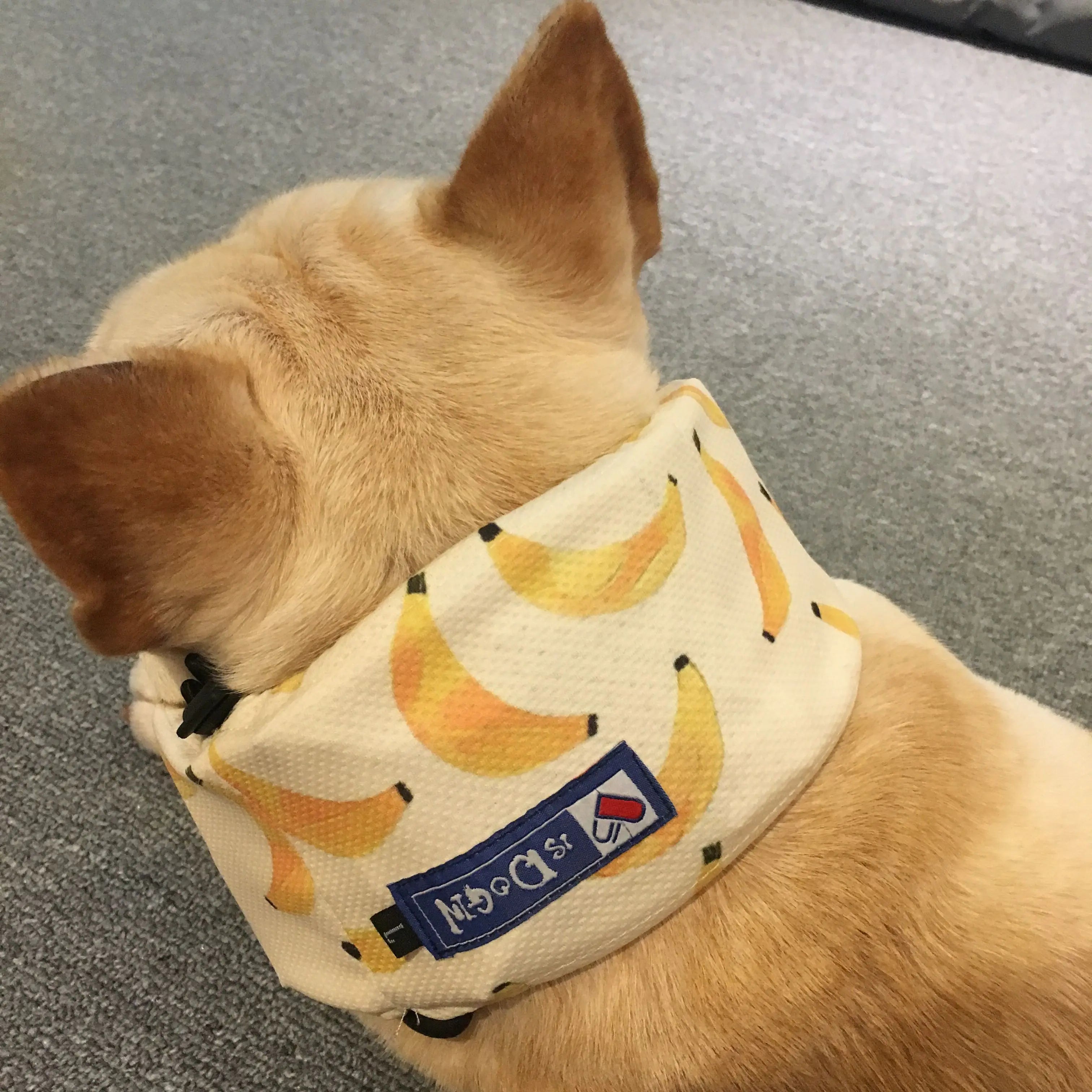 Summer Pet Dog Cooling Ice Scarf for Heat Relief
