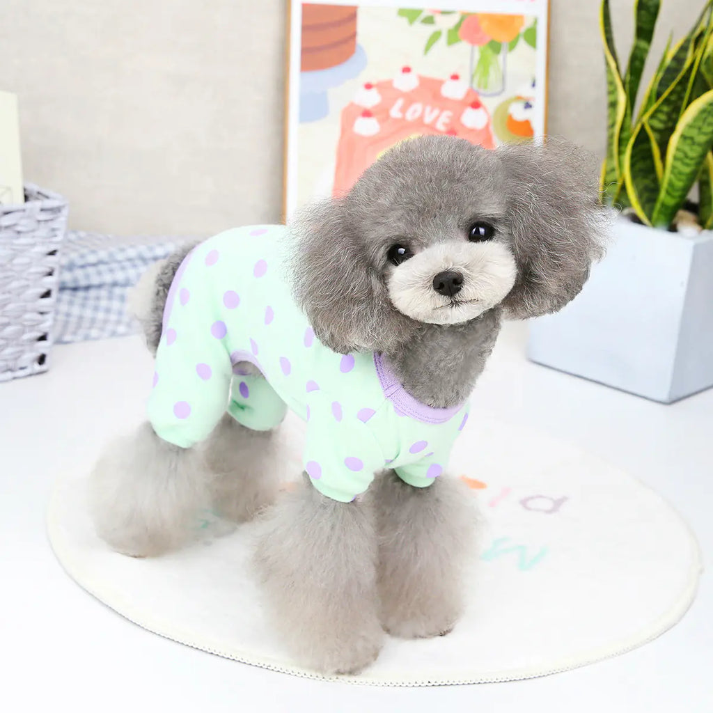 Spring and Summer Pet Clothing for Puppies