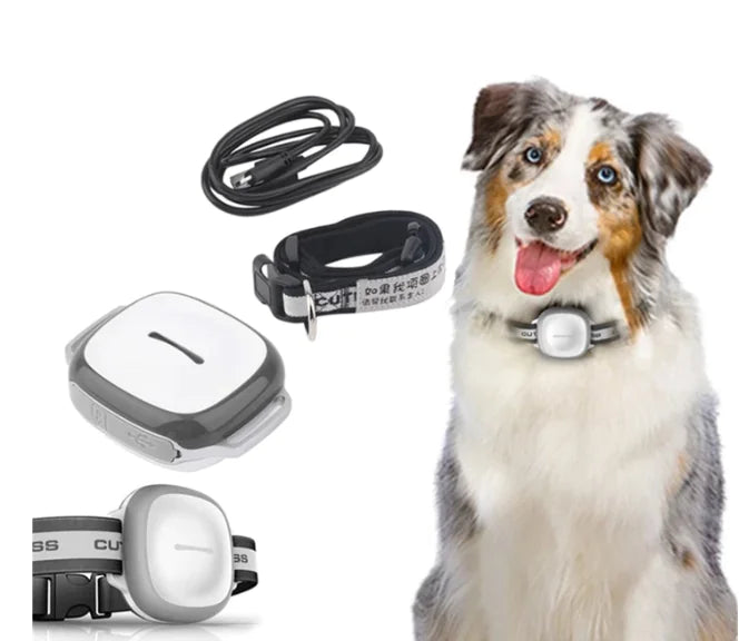 Pet GPS Tracker for Dogs - Anti-Loss Tracking Device
