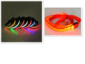 LED Dog Leash with Fluorescent Dog Collar