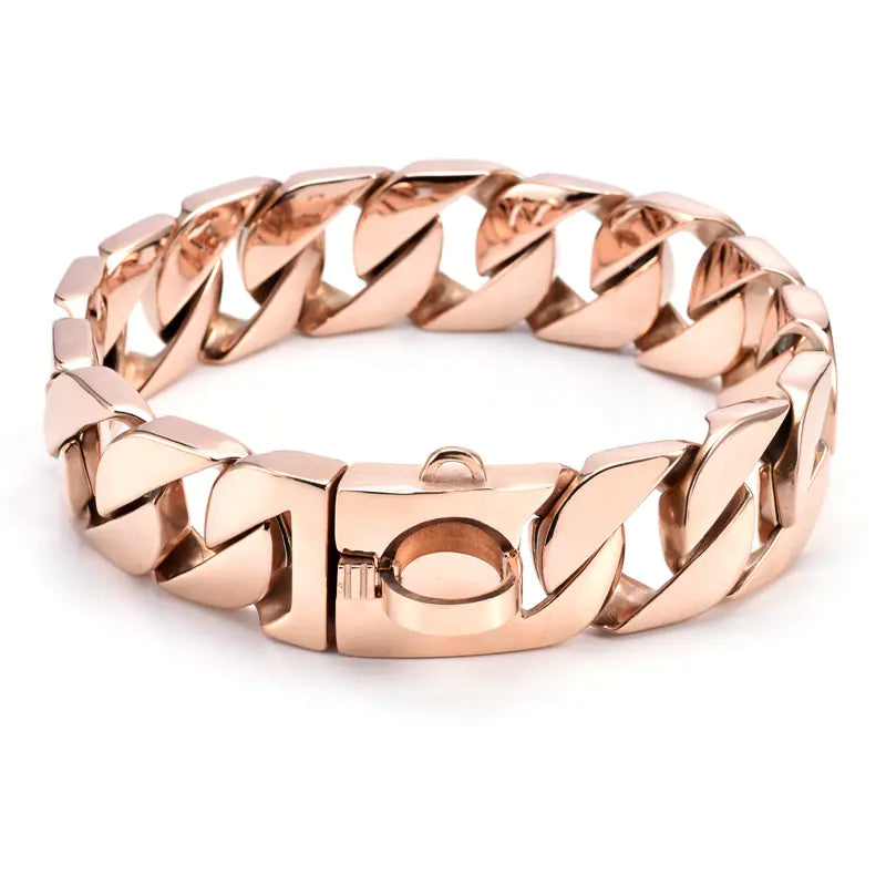 Black Steel Dog Collar