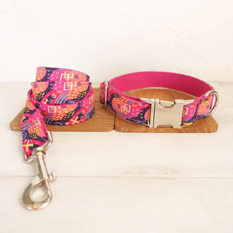 Dog Training Collar with Leash Supplies Set